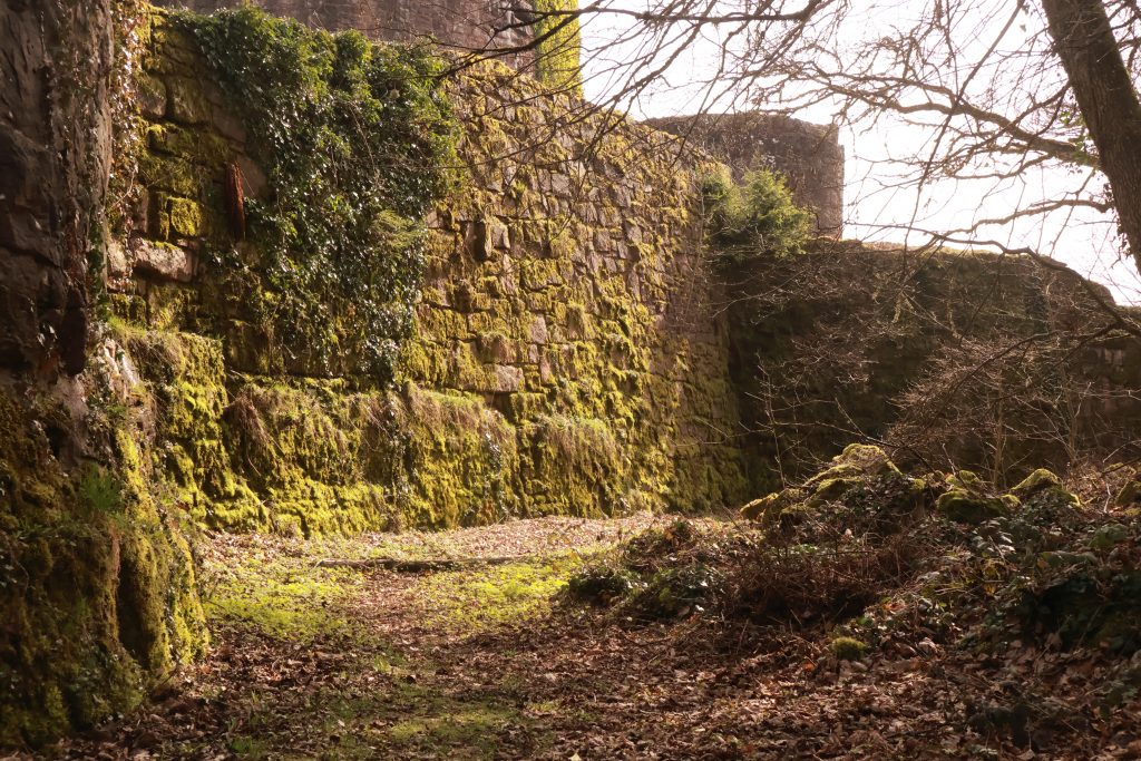 CreatorWerk Castle Shooting Day